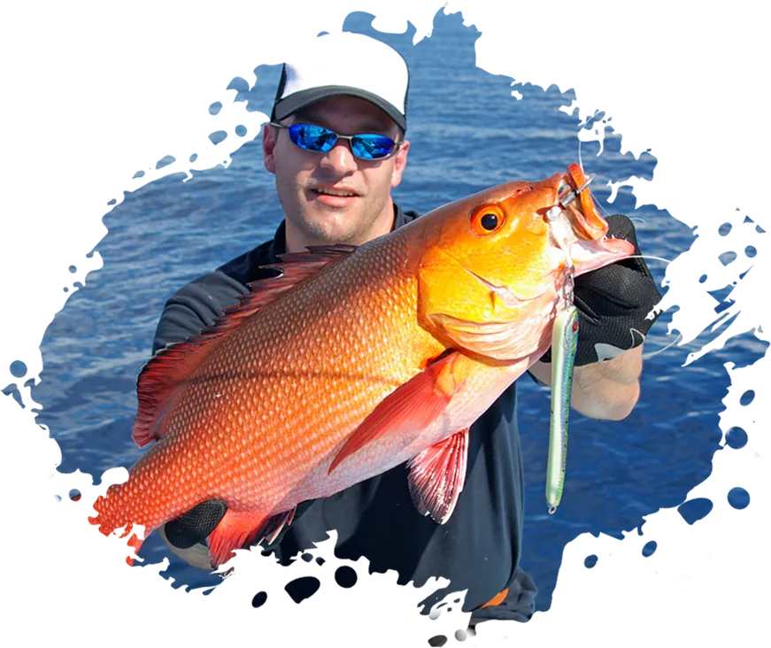 Modern Design Exotic Fishinizerry - 咪咕体育直播